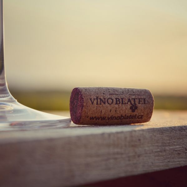 Putování po vinicích VÍNO BLATEL 2022