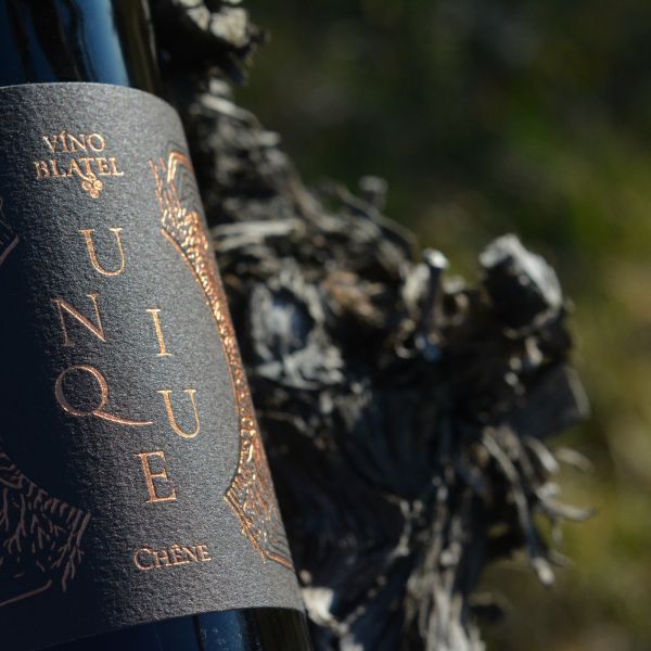 CUVÉE PLACHTY V SALÓNU